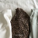 더베이지 이미지