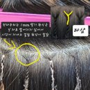 단다두리헤어