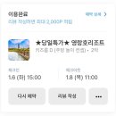 주식회사 신세계센트럴시티 영랑호리조트 | [속초] 영랑호리조트 내돈내산 후기 - 17개월 아기랑 겨울여행