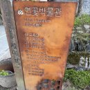 세미원 연꽃박물관 | [여행 속 장소][2025.09.21] 경기 양평군 / 세미원 연꽃박물관 / 연꽃의 역사와 문화를 담은 곳