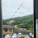 (주)신세계백화점