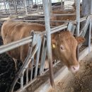 합천가든 이미지