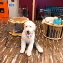 타카독스 커피 이미지