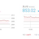 (주)다올약품 이미지