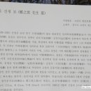 정지운선생묘 이미지