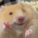 미스터부라우니 | 온몸에 그날의 쨍한 잔상이 오래도록