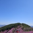 천주산 등산로변(천주암) | 평일인데도 줄 섰어요… 천주산 진달래 천주암 코스 실제 후기