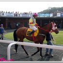 경마공원 이미지