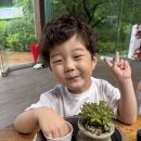 🍒대아수목원에 다녀왔어요!🪴 이미지