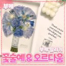 부케 [꽃술예] &amp; [오르다움] 부케말리기 // 결혼식 본식 부케기프트 공방 내돈내산 후기