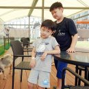 강아지 테마파크 이미지