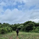 명선목장 이미지