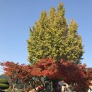 내장초등학교 이미지