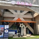 더와플스 경기하남점 | [하남] 하남에서 와플 제일 잘하는 집 더와플스 내돈내산 후기