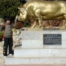 합기도 대구관 이미지