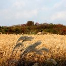 제주돌박물관 이미지