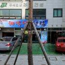 성일오피스텔 이미지