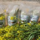 야곱2농장 이미지