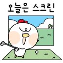 매일스크린골프 이미지