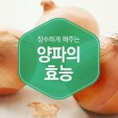 ＜ 장수하게 해주는 양파의 효능 ＞ 이미지