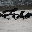 회천식당 이미지