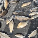 성호낚시터 이미지