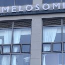 멜로소민(melosomin)