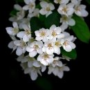 군산(무안)휴게소 우동전문점