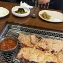 지산목 티스토리