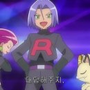 미쓰박 펫 살롱 이미지