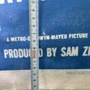 솔로몬카인테리어 이미지