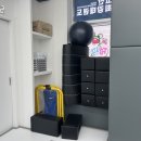 고산 최강 태권도장 네이버블로그
