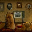 11500-15-12-20 이미지