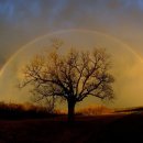 무지개가 피어나는 이미지