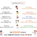 해든태권도장 이미지