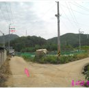 시미1리 이미지