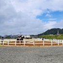 악양승마장 이미지