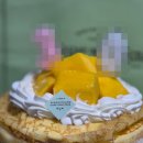 창박로 55번길 23 | 7월 일상 잔잔바리(+여름 삿포로, 한정선, 원더독스 직관)