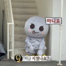닉스앤녹스(주) | 갑자기 위 리틀 라이즈 팝업 후기