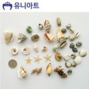조개 이미지