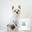 프레싯 (FRESHET) 이미지