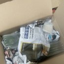 행운목 | 오늘의 집 공기정화식물 화분과 행운목 내돈내산 구매 후기