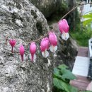 지리산밀드플레