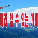 중병(重病)을 미리 알 수 있는 가벼운 증세 이미지