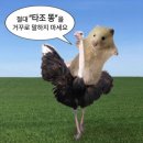 상무형제카 | 2025 일상 두번째.