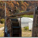 친환경한우농장 이미지