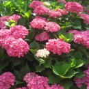 웅촌초등학교 이미지