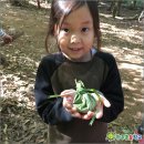 숲어린이집 이미지