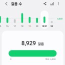 튼튼해짐 네이버블로그