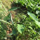 놀부농장 이미지